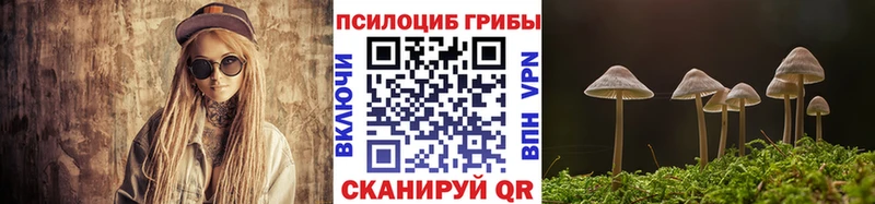 blacksprut tor  Абакан  Галлюциногенные грибы мицелий 