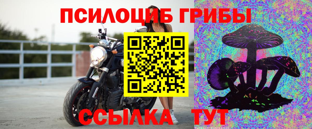 Галлюциногенные грибы Psilocybine cubensis  Галлюциногенные грибы Cubensis  Вход с VPN  наркошоп  Абакан 