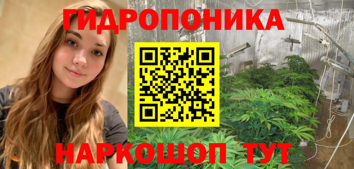 Шишки марихуана конопля Абакан